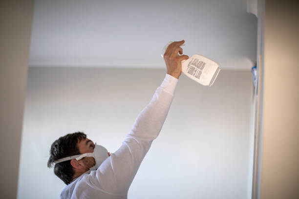 Best Mold Removal Company Near Me  in Happy Valley, OR