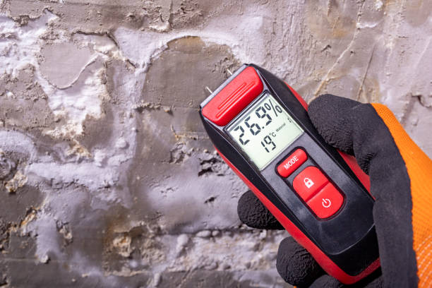 Best Emergency Mold Removal  in Happy Valley, OR