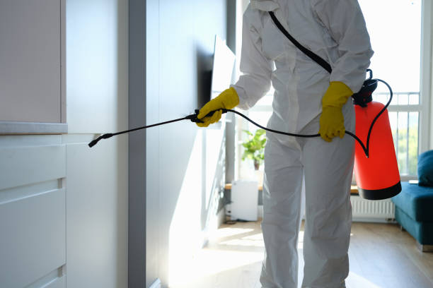 Best Certified Mold Removal  in Happy Valley, OR