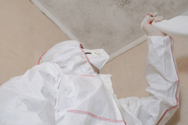  Happy Valley, OR Mold Removal Pros