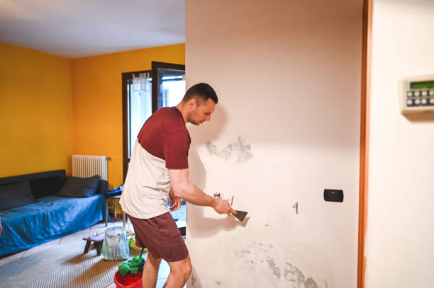 Professional Mold Removal in Happy Valley, OR