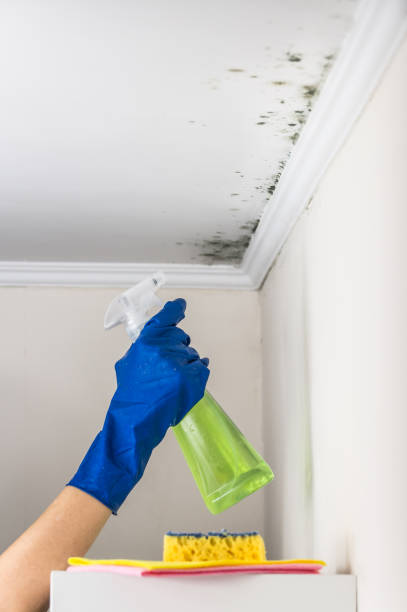 Best Mold Testing  in Happy Valley, OR